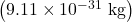 \left(9\text{.}\text{11}\times {\text{10}}^{-\text{31}}\text{ kg}\right)