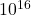{\text{10}}^{\text{16}}