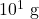{\text{10}}^{1}\text{ g}