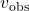 {v}_{\text{obs}}