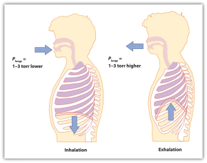 Figure 6-4