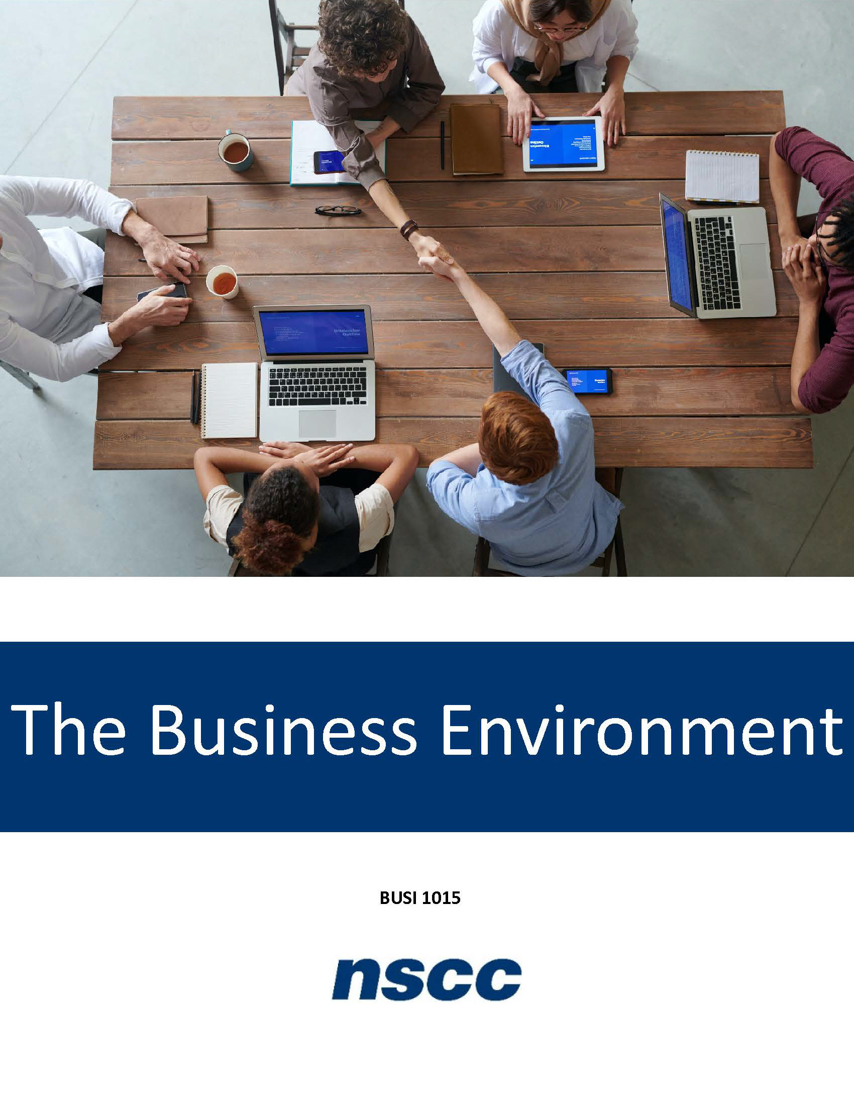 Cover image for The Business Environment