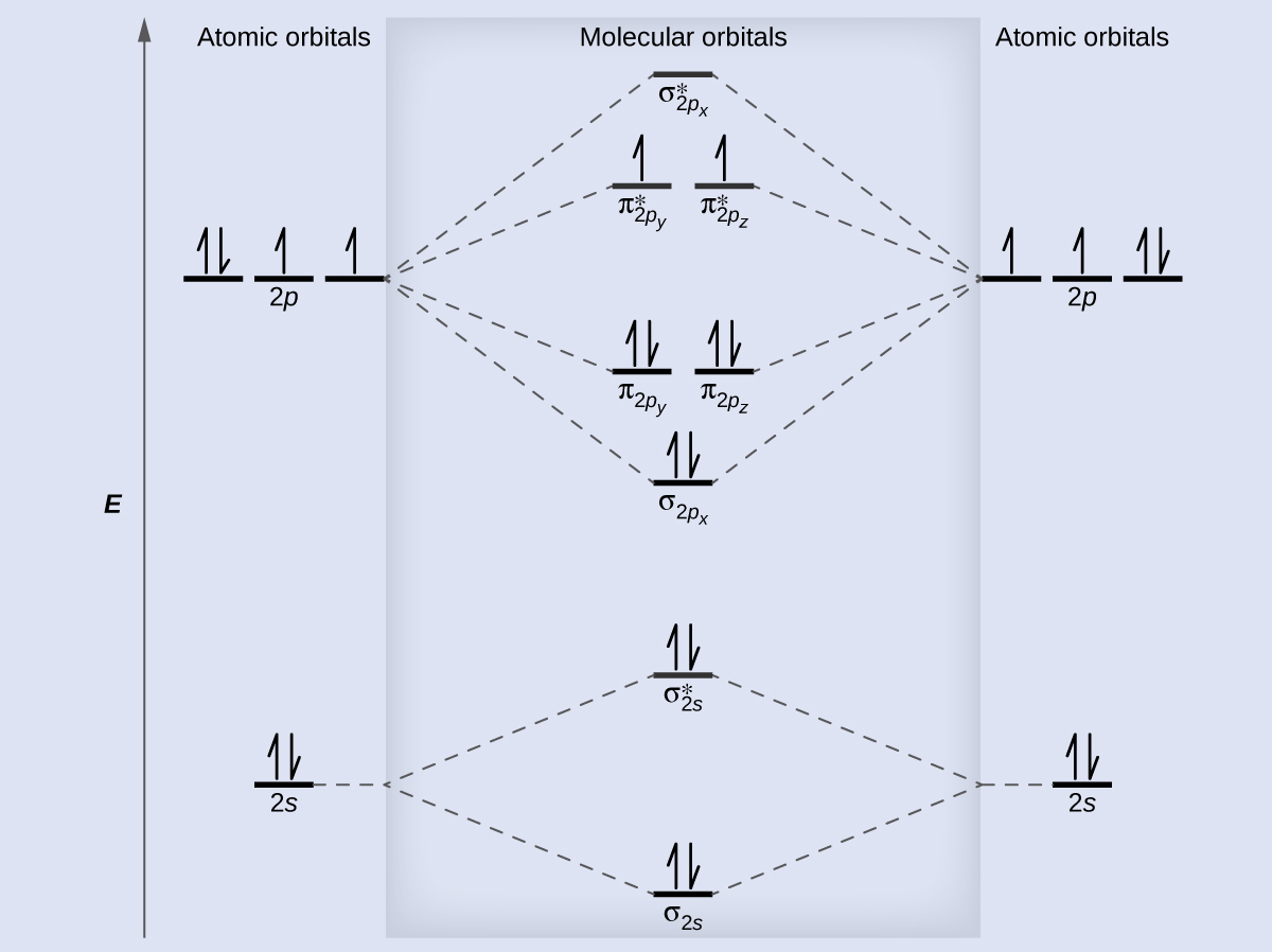 A diagram is shown that has an upward-facing vertical arrow running along the left side labeled, “E.” At the bottom center of the diagram is a horizontal line labeled, “sigma subscript 2 s,” that has two vertical half arrows drawn on it, one facing up and one facing down. This line is connected to the right and left by upward-facing, dotted lines to two more horizontal lines, each labeled, “2 s,” and with two vertical half arrows drawn on them, one facing up and one facing down. These two lines are connected by upward-facing dotted lines to another line in the center of the diagram, but farther up from the first and labeled, “sigma subscript 2 s superscript asterisk.” This horizontal line has two vertical half-arrow drawn on it, one facing up and one facing down. Moving further up the center of the diagram is a horizontal line labeled, “sigma subscript 2 p subscript x,” which lies below two horizontal lines, lying side-by-side, and labeled “pi subscript 2 p subscript y,” and “pi subscript 2 p subscript z.” Both the bottom and top lines are connected to the right and left by upward-facing, dotted lines to three more horizontal lines, each labeled, “2 p,” on either side. These sets of lines each hold three upward-facing and one downward-facing half-arrow. They are connected by upward-facing dotted lines to another single line and then pair of double lines in the center of the diagram, but farther up from the lower lines. They are labeled, “sigma subscript 2 p subscript x superscript asterisk,” “pi subscript 2 p subscript y superscript asterisk,” and “pi subscript 2 p subscript z superscript asterisk,” respectively. The lower of these two central, horizontal lines each contain one upward-facing half-arrow. The left and right sides of the diagram have headers that read, ”Atomic orbitals,” while the center header reads, “Molecular orbitals.”