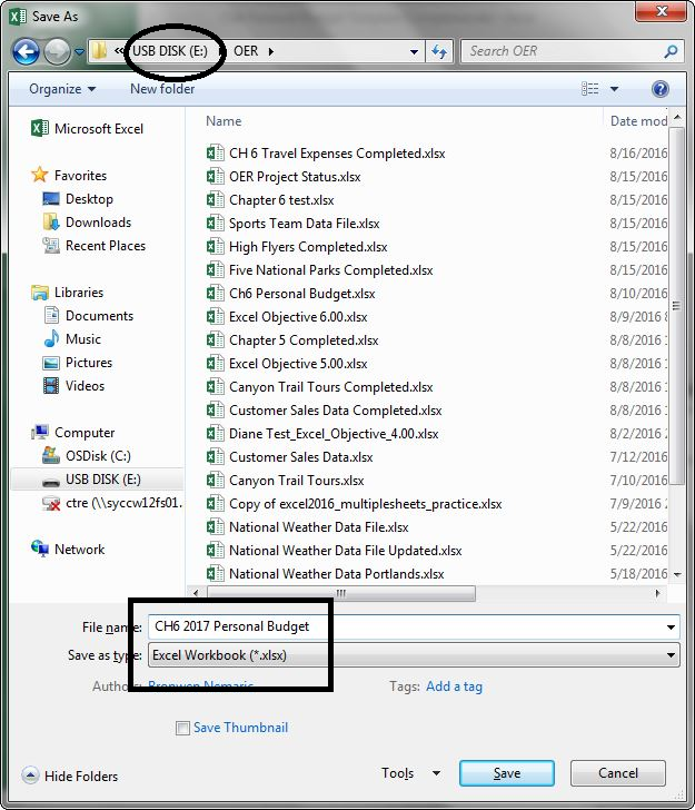 Save As dialog box, with "USB DISK (E:)" location entered in top field, and Save as type "Excel Workbook (*.xlsx) chosen from options at bottom.