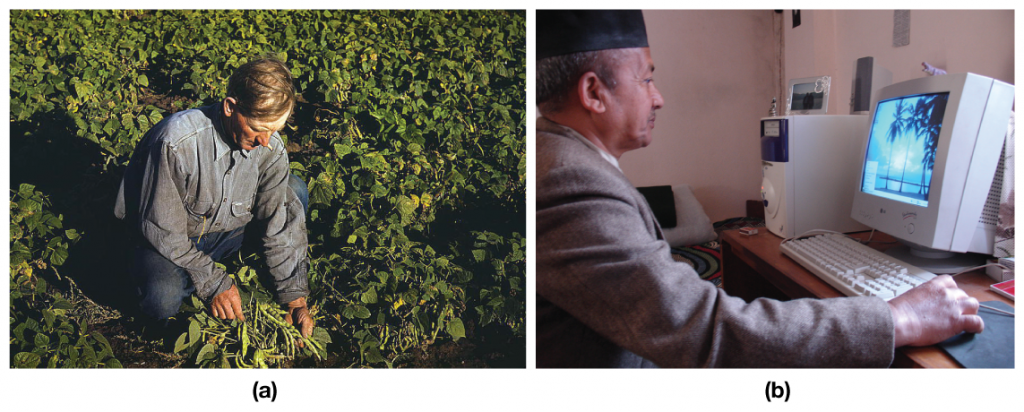 Photo (a) A man is kneeling and picking crops in a field. Photo (b), a man is working on a computer.