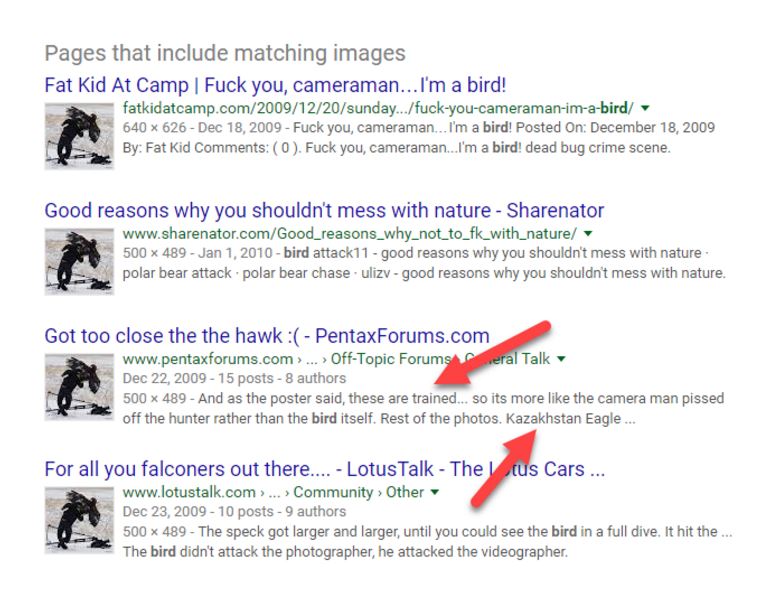 The result page of our reverse image search, in which the title of the third website, PentaxForums, reads, “Got too close the the hawk :(,“ and the description reads: “And as the poster said, these are trained…so its more like the camera man pissed off the hunter rather than the bird itself. Rest of the photos. Kazakhstan Eagle…”