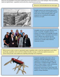 Figure 4.4 Resources and Capabilities, image description available