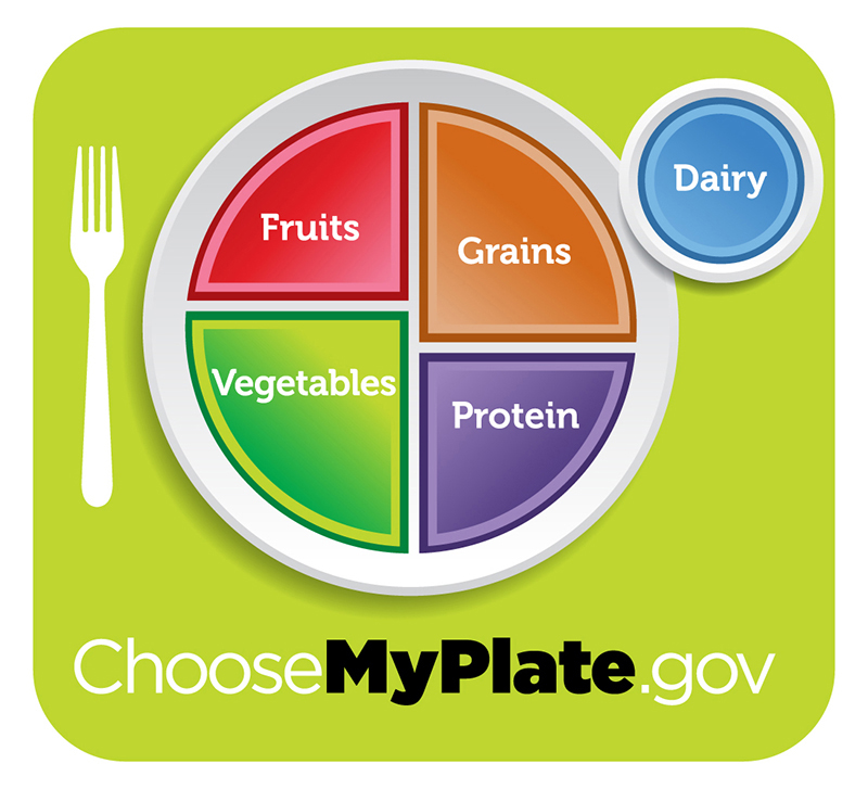 Figure 34.14. For humans, a balanced diet includes fruits, vegetables, grains, and protein. (credit: USDA)
