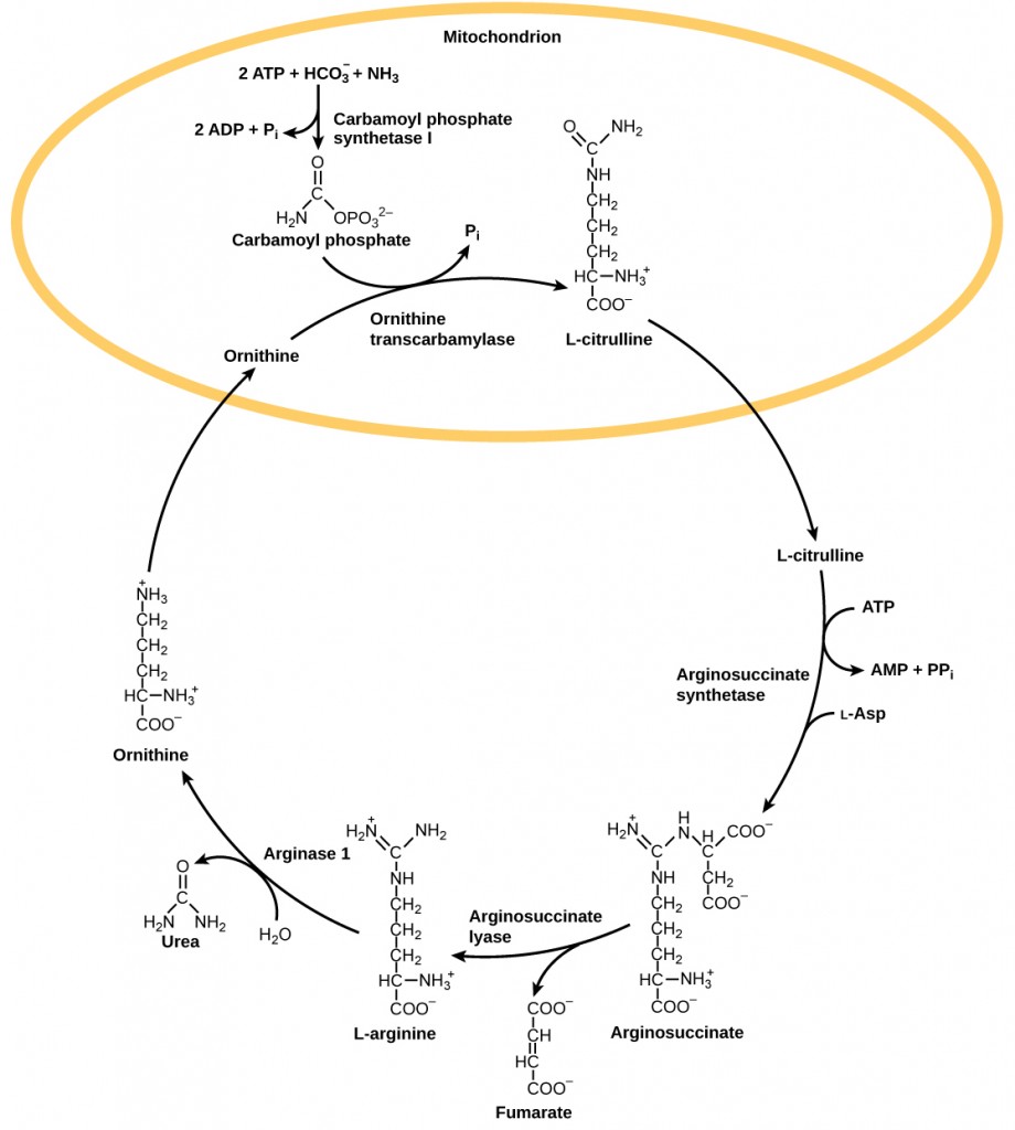 Figure_41_04_01