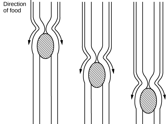 Figure_34_01_09