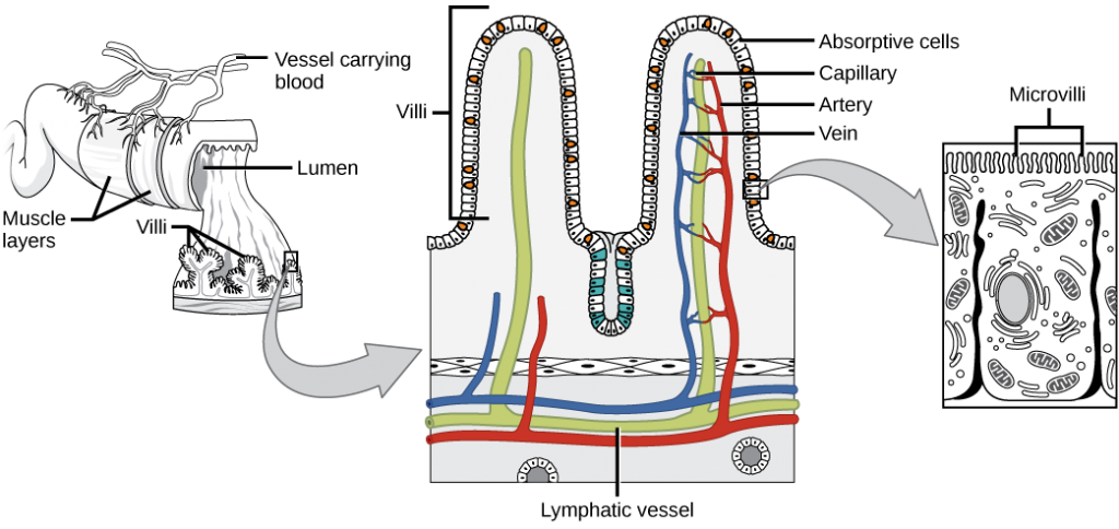 Figure_34_01_11f