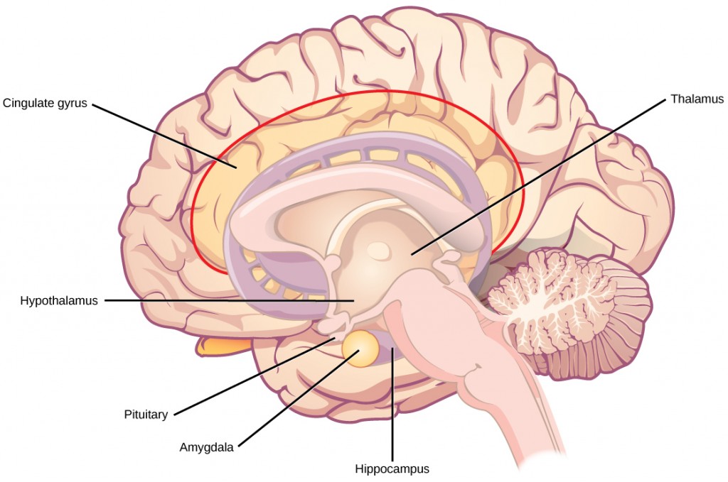 Figure_35_03_06