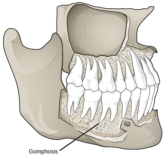 Figure_38_03_02
