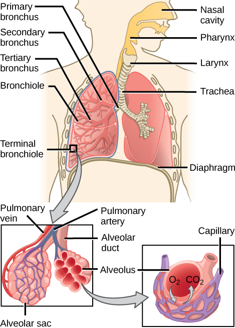Figure_39_01_06