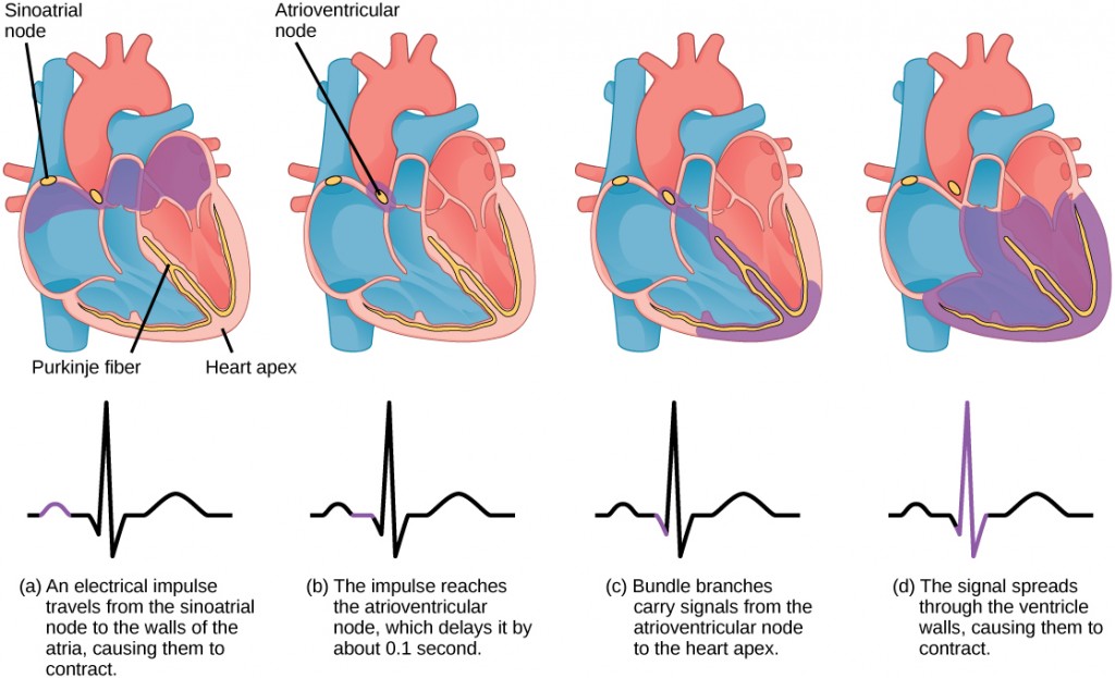 Figure_40_03_05