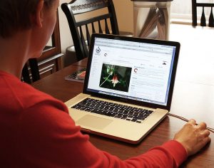 A woman sitting at a table, looking at a laptop.