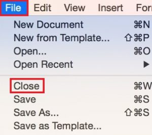 Apple File menu.