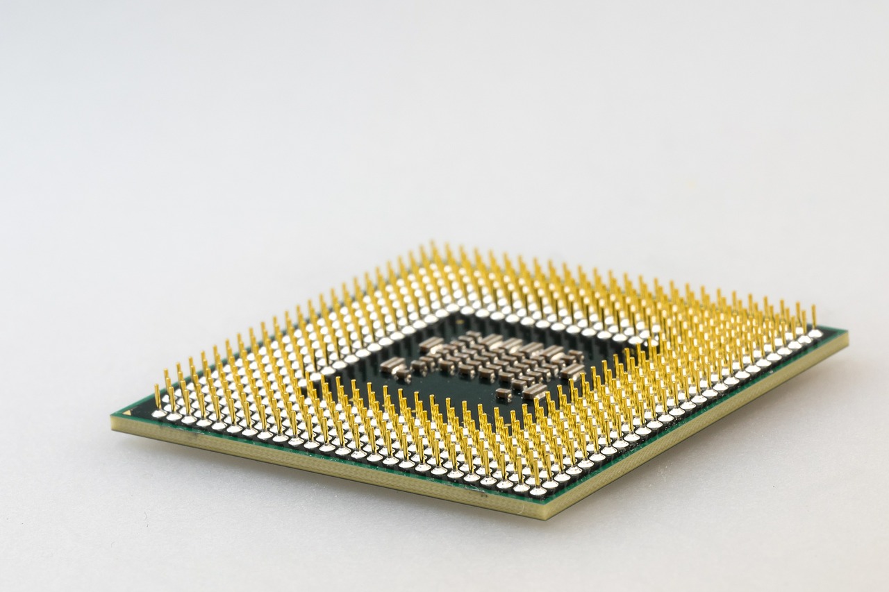 A central processing unit (CPU).