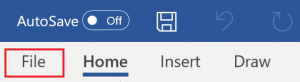 "File" tab in Microsoft Word is highlighted.