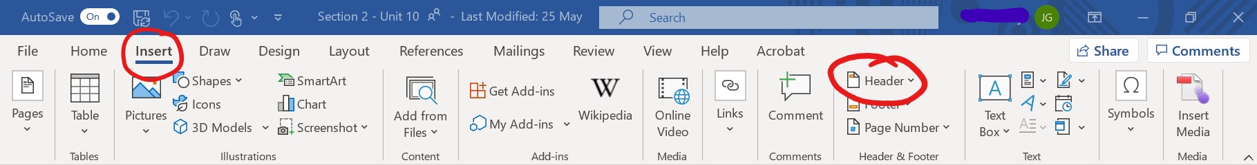 Microsoft Word Toolbar. Header appears under the Insert toolbar.