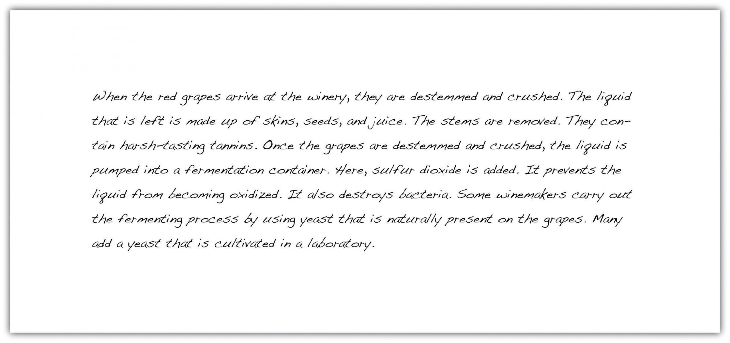 Joshua's essay