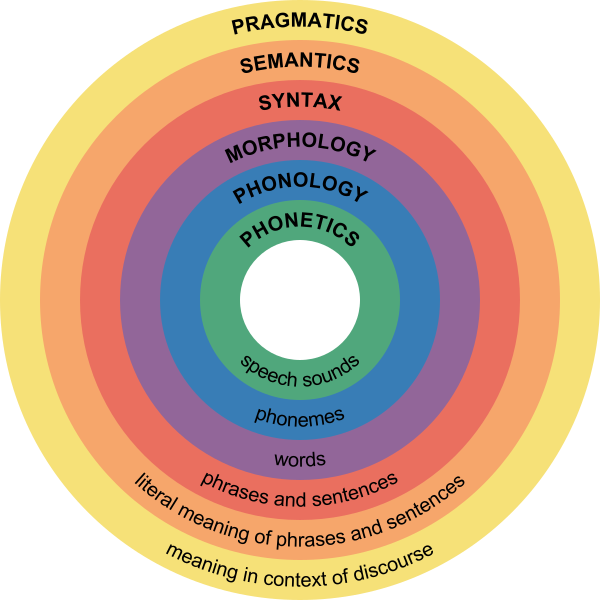 Major branches of linguistics.