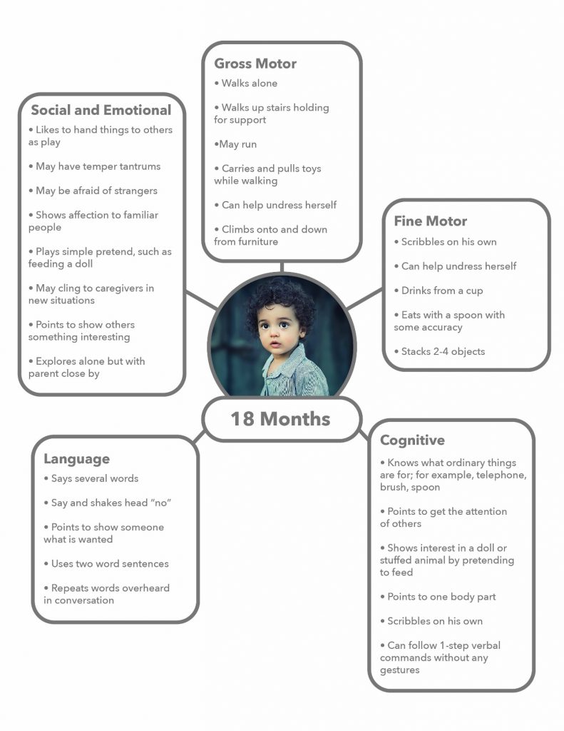 18 month milestones