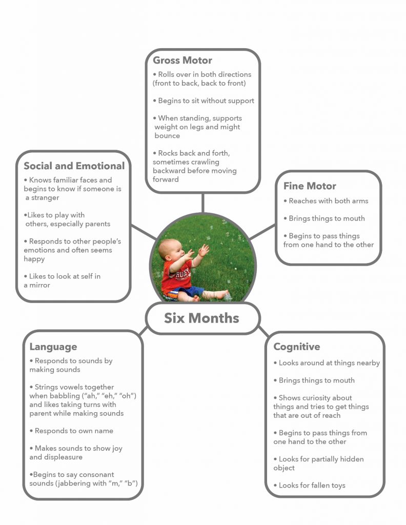 6 month milestones