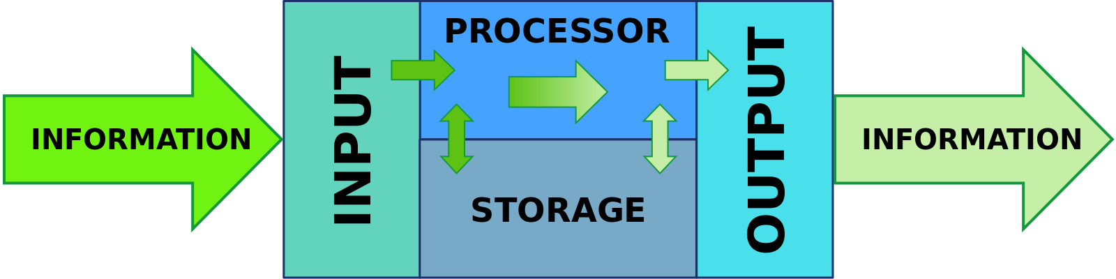 How information is processed. [