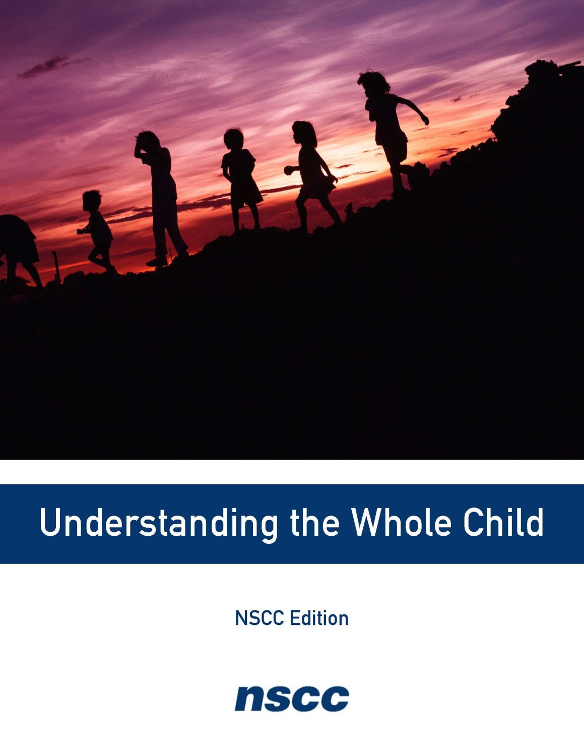 Cover image for Understanding the Whole Child