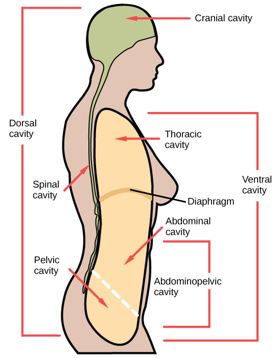 Figure_33_01_05