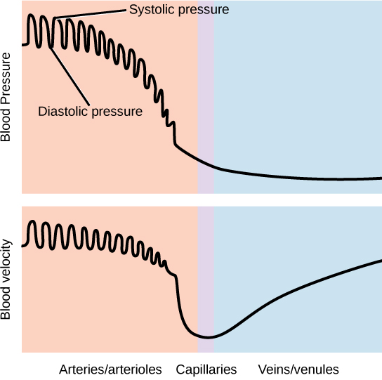 Figure_40_04_03