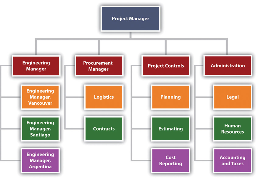 Organization for Major International Project