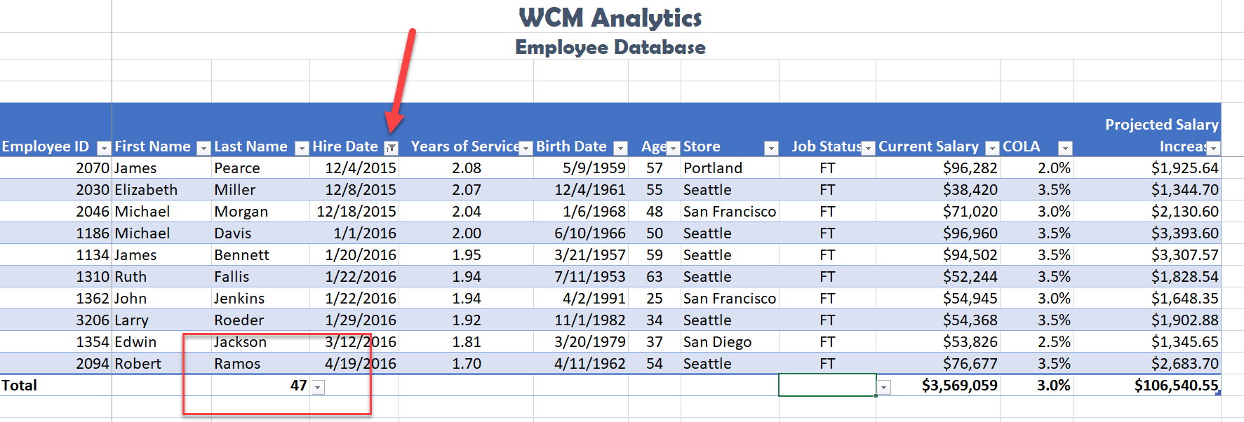 Date Filter Solution Screenshot