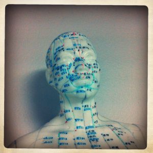 Head shot of an accupuncture dummy showing accupunture points and meridians.