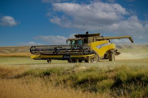 A yellow tractor being used for wheat farming in a large field as far as the eye can see.