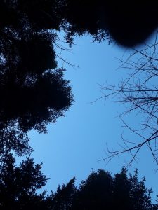 Looking Up and Feeling Hope