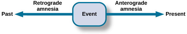 A single-line flow diagram compares two types of amnesia. In the center is a box labeled “event” with arrows extending from both sides. Extending to the left is an arrow pointing left to the word “past”; the arrow is labeled “retrograde amnesia.” Extending to the right is an arrow pointing right to the word “present”; the arrow is labeled “anterograde amnesia.”<br />