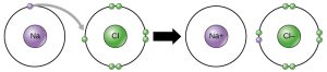 A sodium and a chlorine atom sit side by side. The sodium atom has one valence electron, and the chlorine atom has seven. Six of chlorines electrons form pairs at the top, bottom and right sides of the valence shell. The seventh electron sits alone on the left side. The sodium atom transfers its valence electron to chlorines valence shell, where it pairs with the unpaired left electron. An arrow indicates a reaction takes place. After the reaction takes place, the sodium becomes a cation with a charge of plus one and an empty valence shell, while the chlorine becomes an anion with a charge of minus one and a full valence shell containing eight electrons.