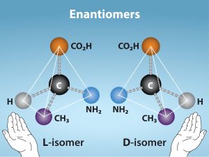 Molecular models of D-and L-alanine are shown. The two molecules, which contain the same number of carbon, hydrogen, nitrogen atoms, are mirror images of one another. Below the images, a left hand is shown near the L-isomer and the right hand is shown near the D-isomer.