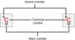 Carbon is indicated by its atomic symbol, a capital C. Carbon has the atomic number six and two stable isotopes, carbon-12 and carbon-13.