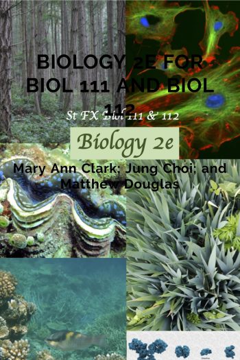 Cover image for Biology 2e for Biol 111 and Biol 112