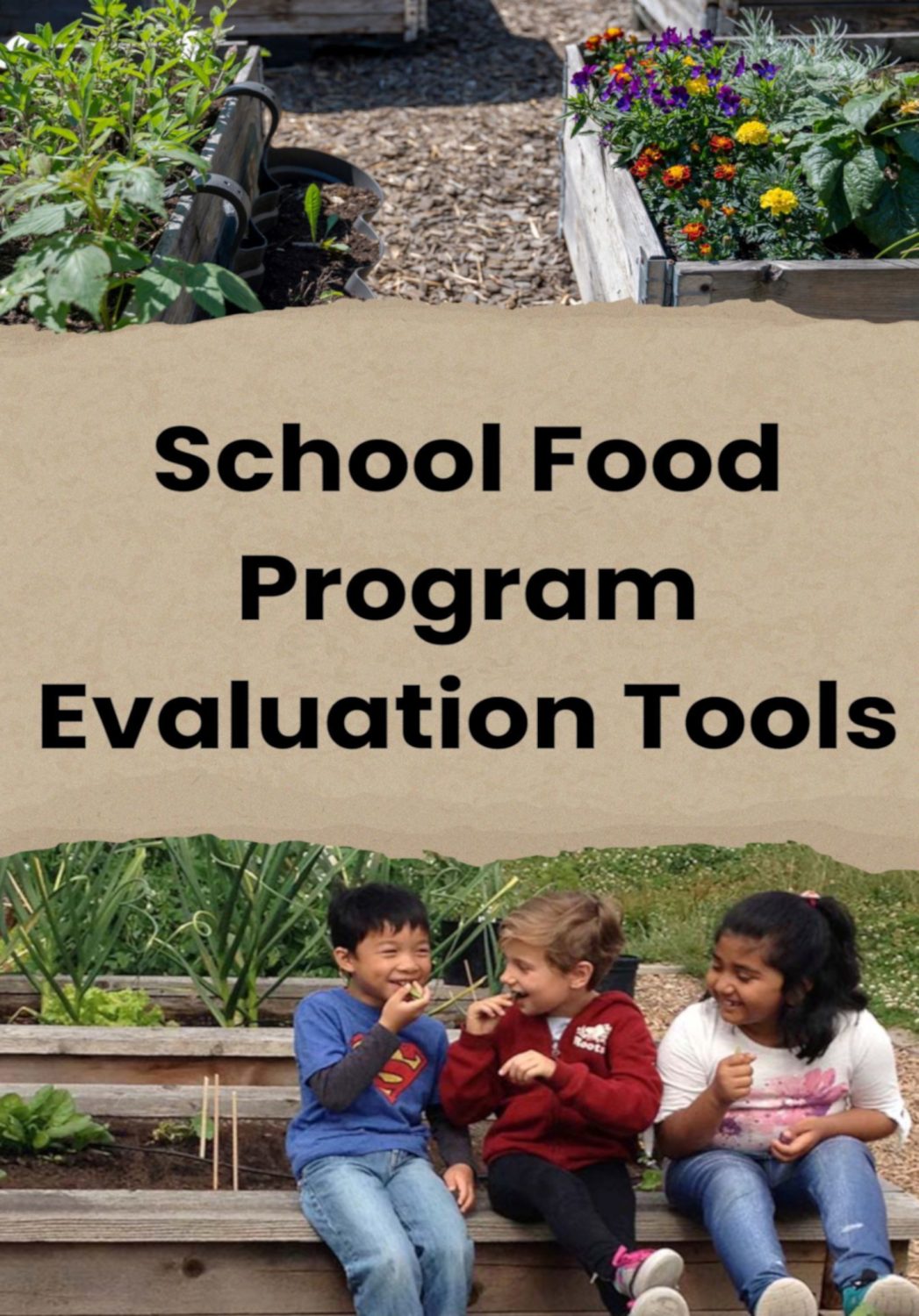 Cover image for School Food Program Evaluation Tools