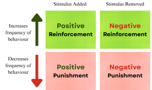 Diagram of operant conditioning with four quadrants. Across the top: 'Stimulus Added' and 'Stimulus Removed.' Down the left: 'Increases frequency of behaviour' and 'Decreases frequency of behaviour.' The top row shows Positive Reinforcement (stimulus added increases behaviour) and Negative Reinforcement (stimulus removed increases behaviour). The bottom row shows Positive Punishment (stimulus added decreases behaviour) and Negative Punishment (stimulus removed decreases behaviour).