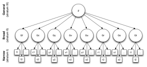 Diagram of Carroll’s Three-Stratum Theory of Human Intelligence. At the top, Stratum III shows general intelligence (g). Below, Stratum II lists broad abilities: fluid intelligence (Gf), crystallized intelligence (Gc), general memory and learning (Gy), visual perception (Gv), auditory perception (Gu), retrieval ability (Gr), cognitive speed (Gs), and processing speed (Gt). At the bottom, Stratum I shows narrow abilities, represented by smaller boxes branching from each broad ability (e.g., f1, f2, c1, c2, etc.). The model illustrates intelligence as a hierarchical structure, with g influencing broad abilities, which in turn influence specific narrow abilities.