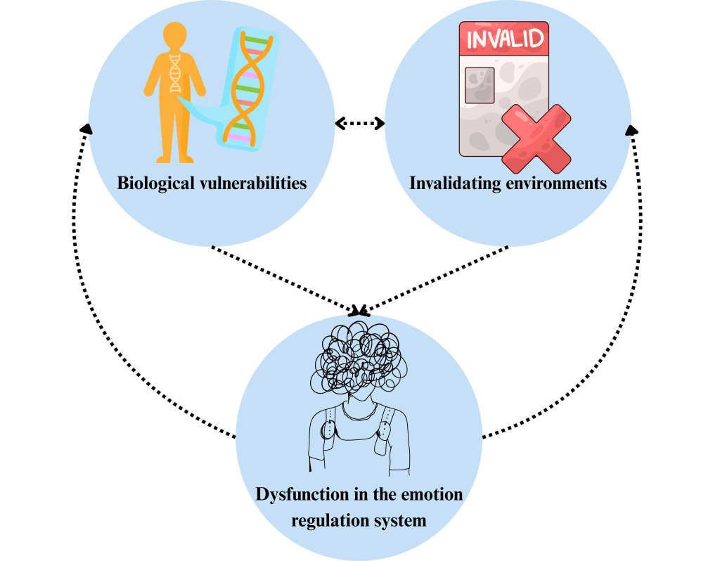 Image by Madison Conrad, CC BY-NC-SA. Adapted from Marsha Linehan A circular diagram illustrating the development of emotional dysregulation. It contains three interconnected blue circles, each with an icon and label:Biological vulnerabilities – Represented by a human figure with a DNA strand. Invalidating environments – Represented by a red "INVALID" stamp and a crossed-out symbol. Dysfunction in the emotion regulation system – Represented by a person with a scribbled head, symbolizing emotional distress. Black dotted arrows connect the circles in a loop, showing how each factor influences and reinforces the others in a cyclical pattern.