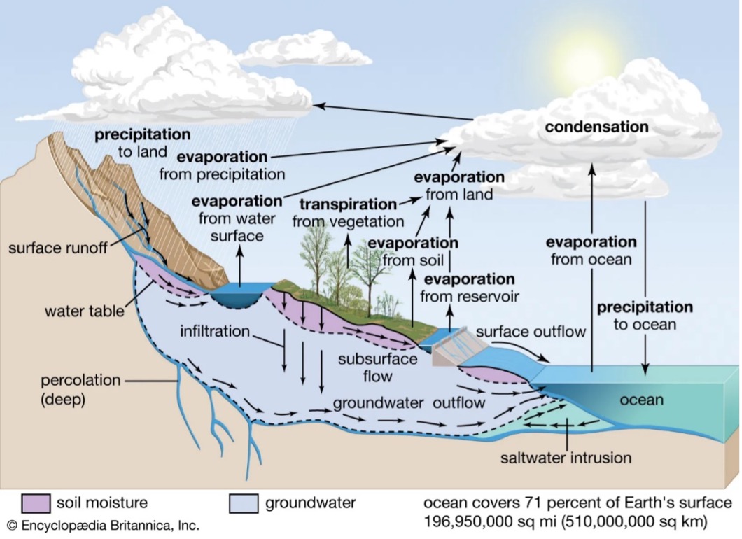 A labelled illustration of the water cycle. Precipitation to land leads to surface runoff. Surface runoff leads to water flowing into larger bodies of surface water, entering the soil and creating soil moisture. Soil moisture infiltrates the groundwater system as well as flowing down to reservoirs and lakes. Surface outflow and groundwater outflow lead to the ocean. Evaporation from precipitation, water surface, soil, transpiration from vegetation, from reservoirs, and the ocean lead to condensation in the clouds. Water returns to the land through precipitation to land and ocean.