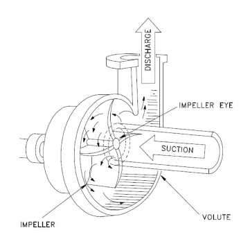 A labelled diagram of a centrifugal pump. The water is sucked into the volute, which is the body of the pump and is shaped like a spiral scroll. Within the volute is the impeller with its impeller eye. The impeller has four curved blades that spin. The water is discharged out of the top of the volute.