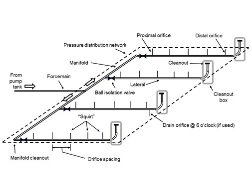A labeled diagram illustrating a pressure distribution system within a pressure distribution network. The system features a forcemain that branches into a manifold, which then distributes flow through four laterals. Each lateral is equipped with a ball valve for isolation and contains properly spaced orifices. A cleanout is labeled at the end of each lateral, while an additional manifold cleanout is positioned at the final turn leading into the bottom lateral. In each lateral, the first orifice is identified as the proximal orifice, while the last orifice is designated as the distal orifice. Beyond the distal orifice, a drain is present near the end of the third lateral, as indicated in the diagram.