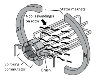 A simplified labeled diagram of a DC motor, focusing on its internal components (excluding the shaft and casing). The diagram highlights key elements essential to the motor’s operation. These include the split-ring commutator, which periodically reverses the current direction to maintain continuous rotation, and a brush, which delivers electrical contact to the rotating commutator. The rotor features four labeled coils (windings) that generate a magnetic field when current flows through them. Surrounding the rotor are the North and South stator magnets, which create a stationary magnetic field that interacts with the rotor’s field, producing motion.